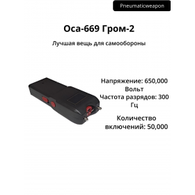 Оса-669 Гром-2