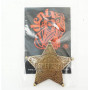 Значок звезда Шерифа пятиконечная, латунь (DE-104)
