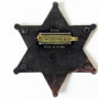 Значок звезда Шерифа шестиконечная (DE-101)
