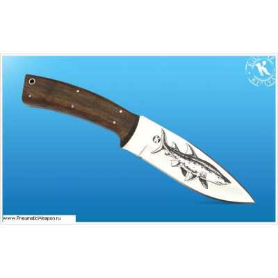 Нож Акула-2 Кизляр